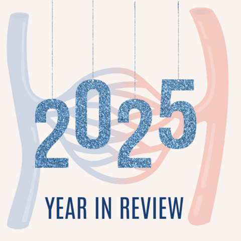 "2025 Year in Review" text is overlayed on a red and blue image of the vasculature