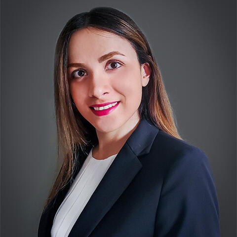 Mandana Chitsazan