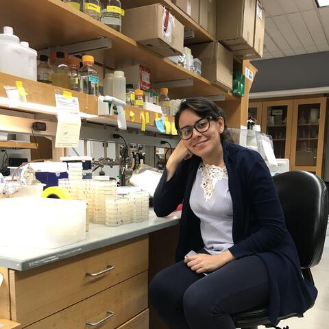 Laura Paulette Fernandez Cardenas