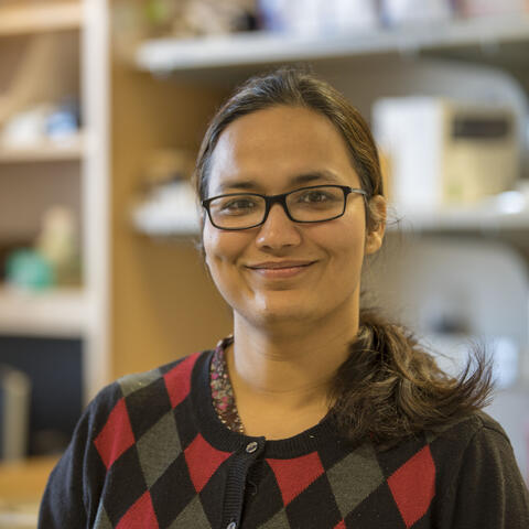 Anupama Rai, PhD