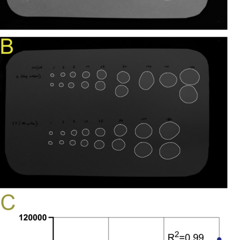 ML-UrineQuant identifies mouse urine spots on filter paper