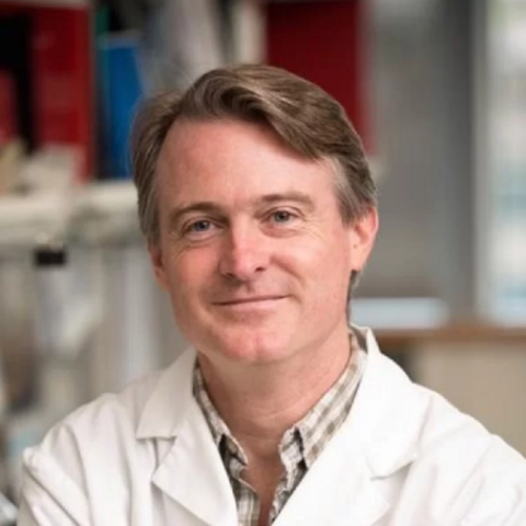 Dr. Frank Slack-Precision RNA Medicine Core Co-Director