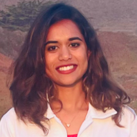 umeshnagalakshmisheethal