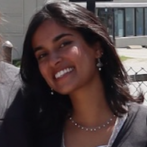 Ananya Pani
