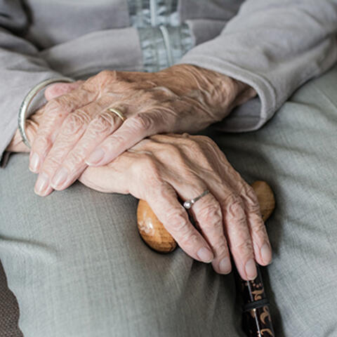 Elderly woman's hands