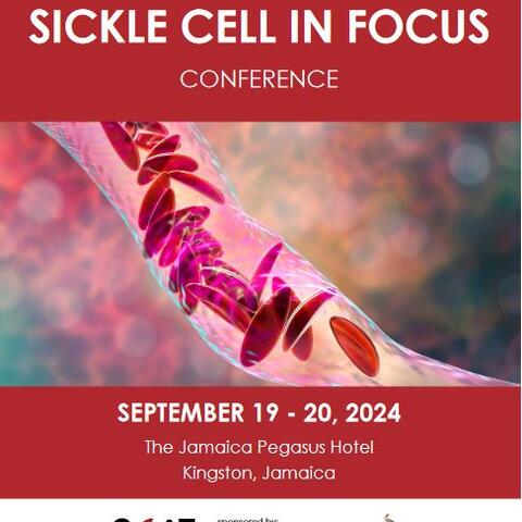 Sickle Cell in Focus