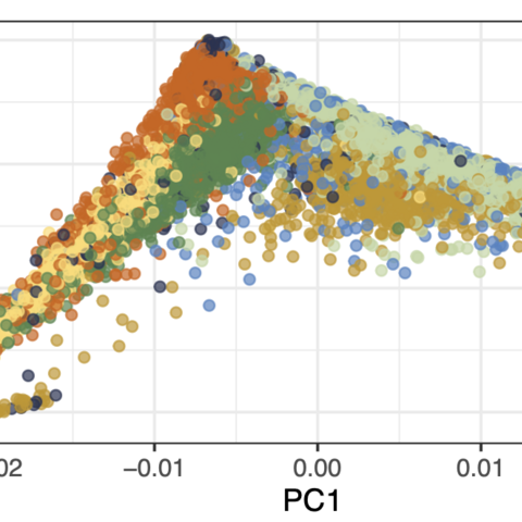 Genetic PC1 versus PC2 in the Study of Latinos