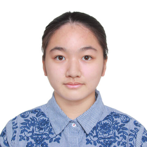Linfeng Hu Headshot