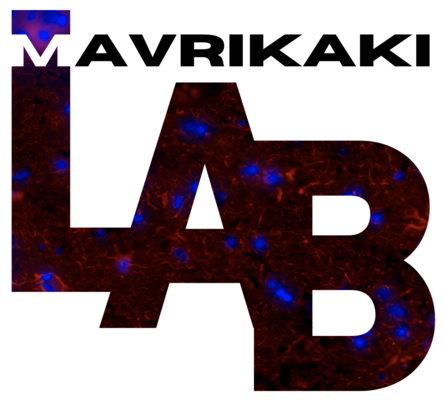 Mavrikaki Lab