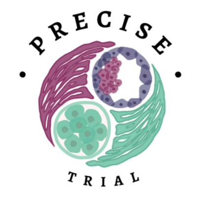 precise study logo