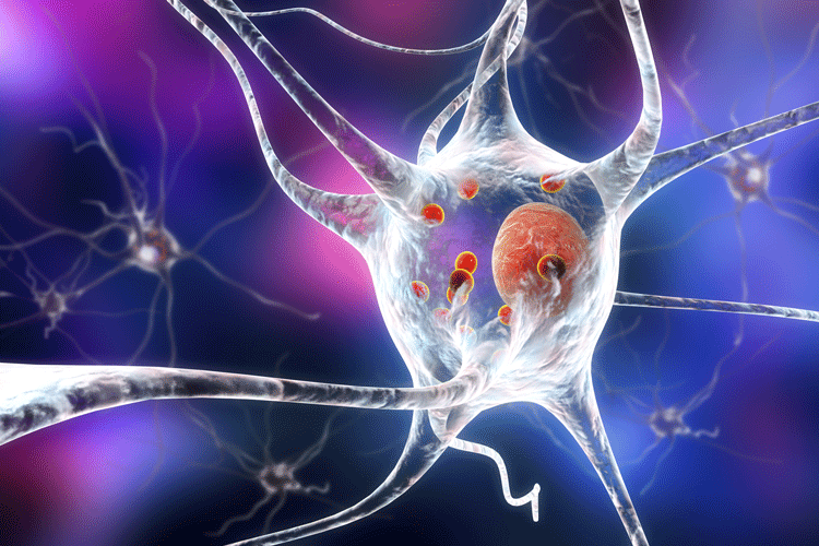 alpha synuclein neuron