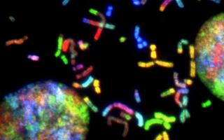 two researchers in a lab