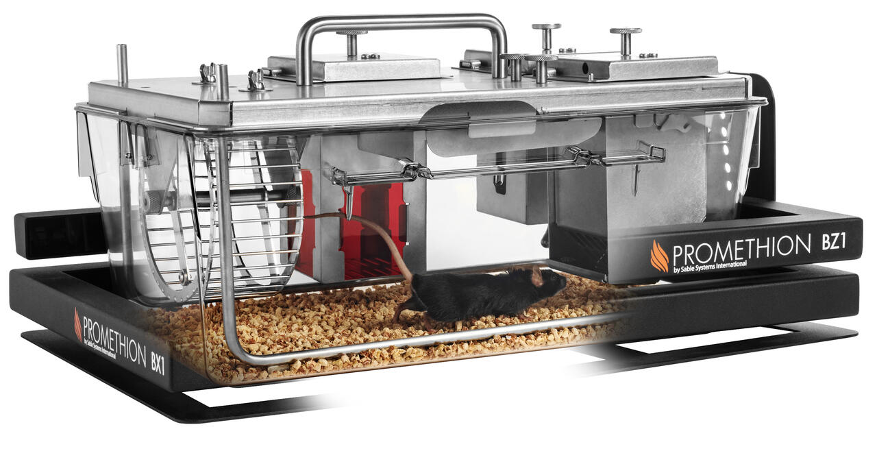 Sable Systems Promethion Cage
