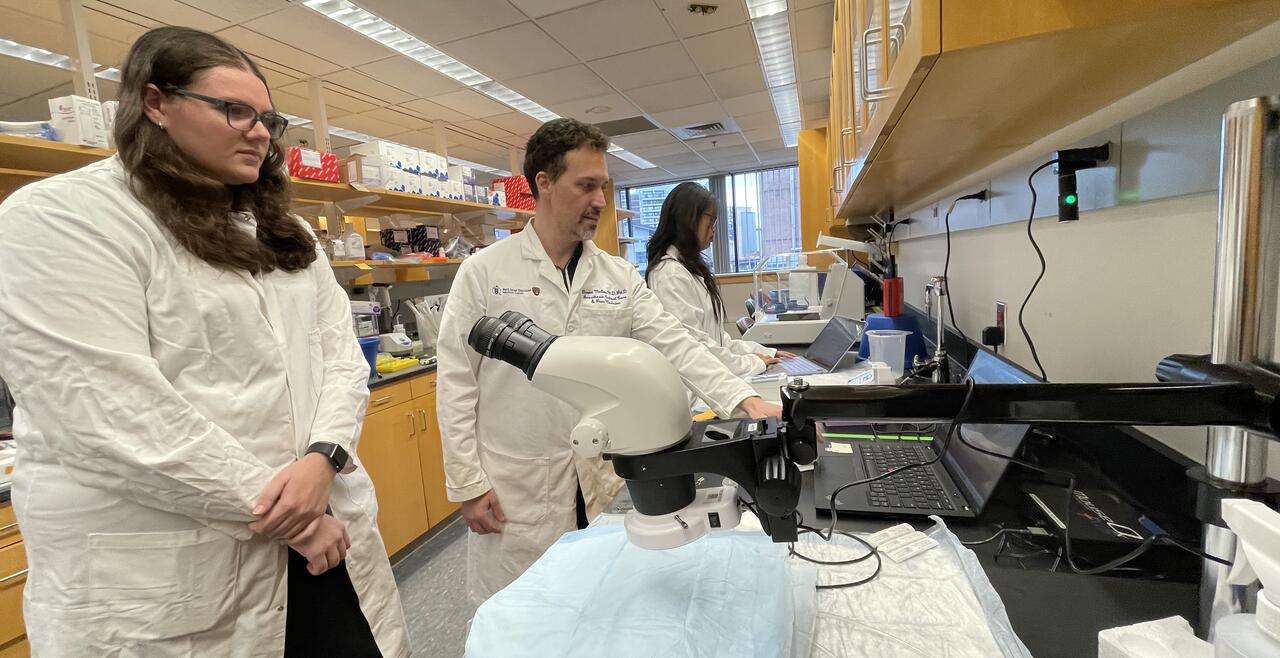 Research North