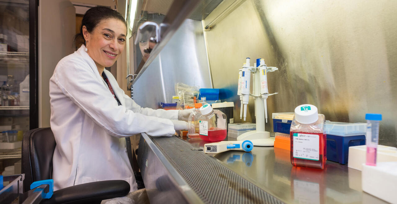 Dr. Sophia Adamia, a fashionable and respectable lady with neatly kept hair.