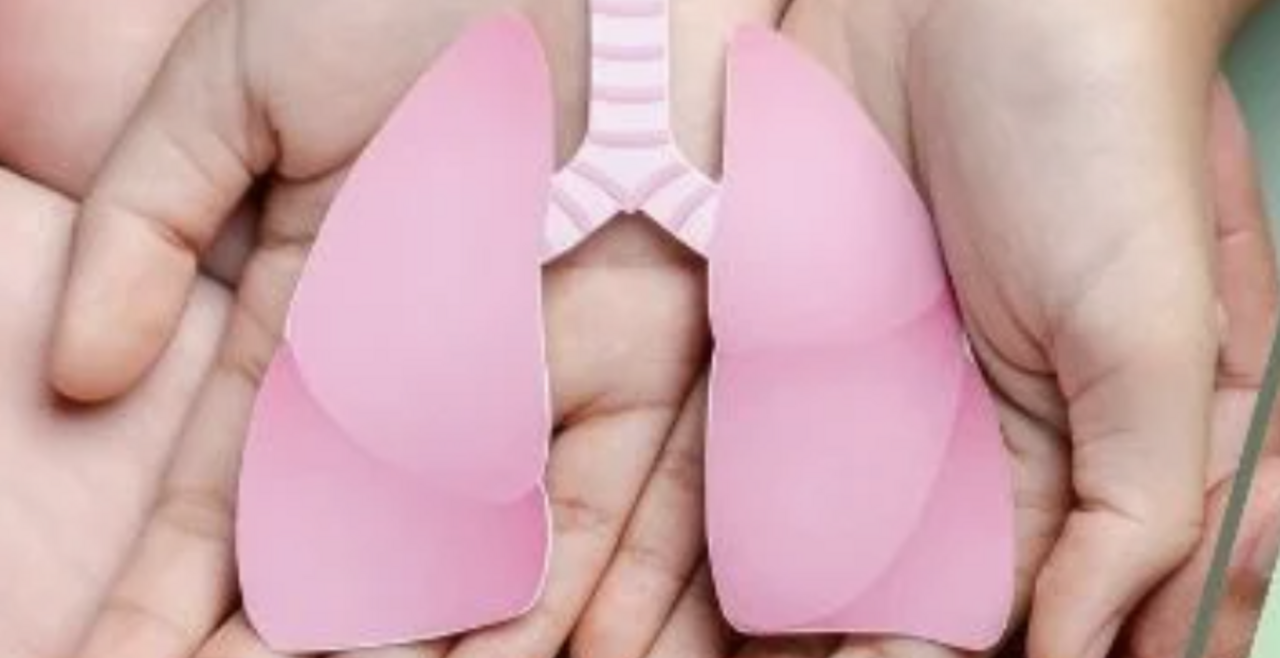 healthy lungs