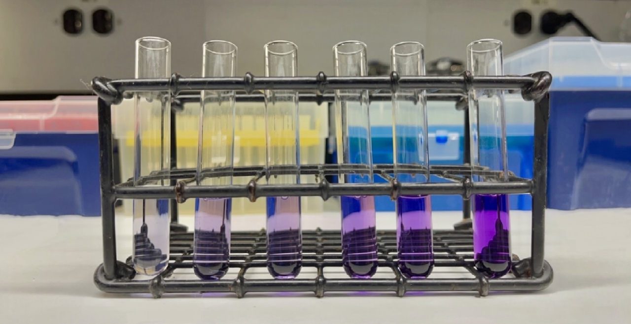 BCA gradient