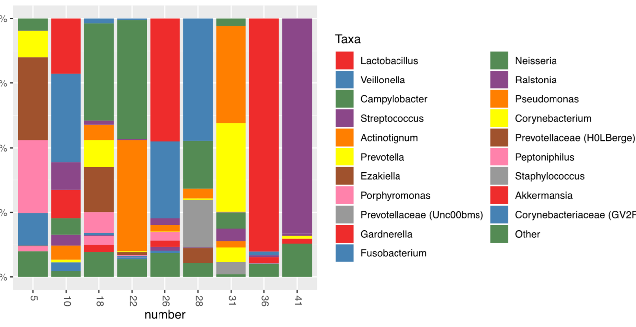 A chart relaying the taxa breakdown in the microbiome