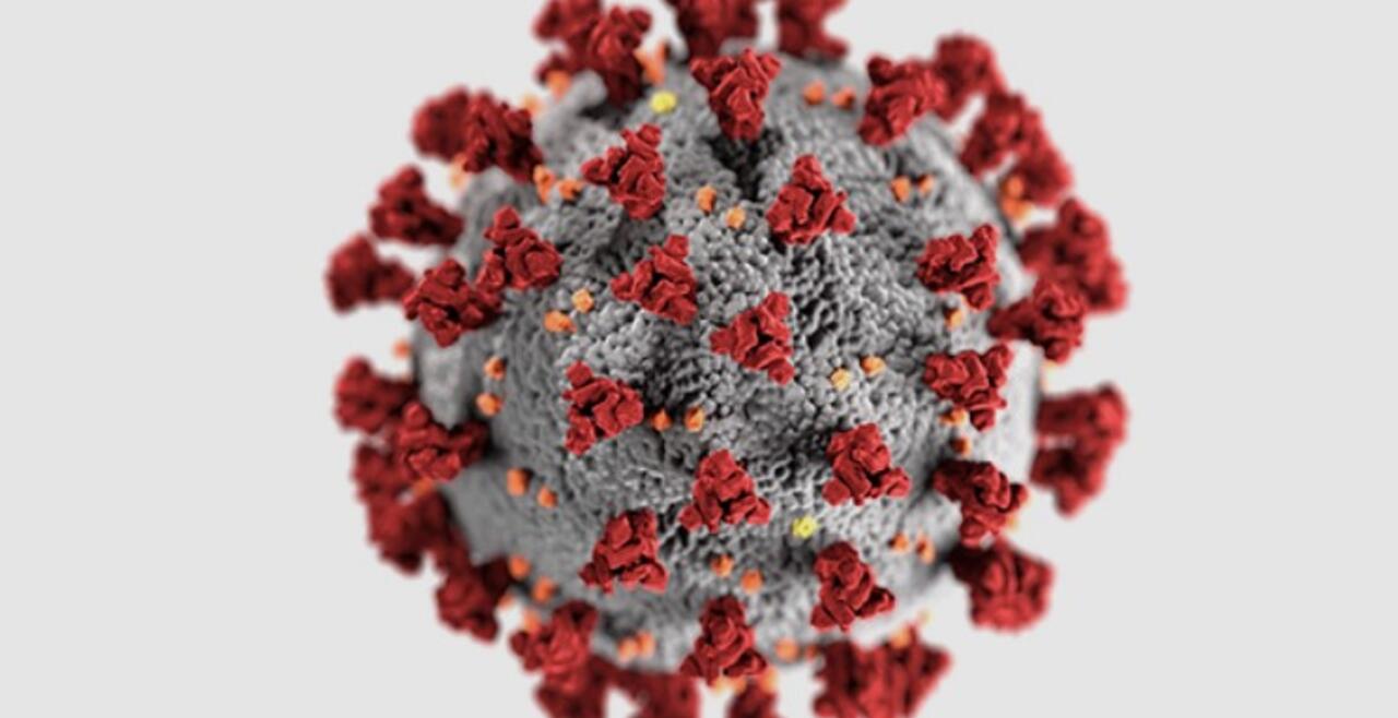Coronavirus Image