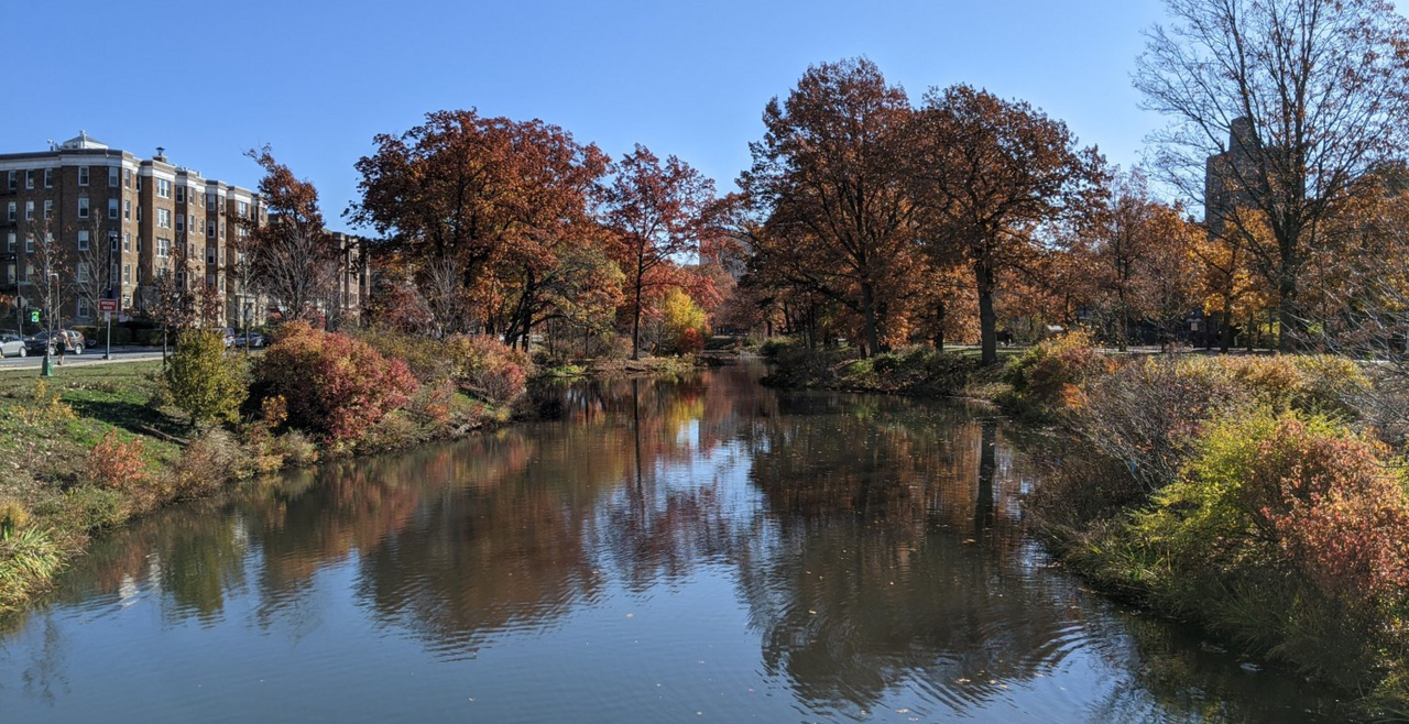 Back Bay Fens