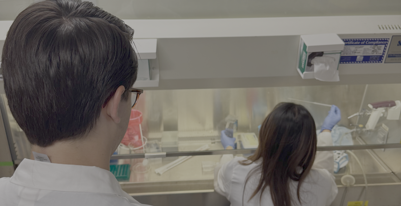 Cell Culture