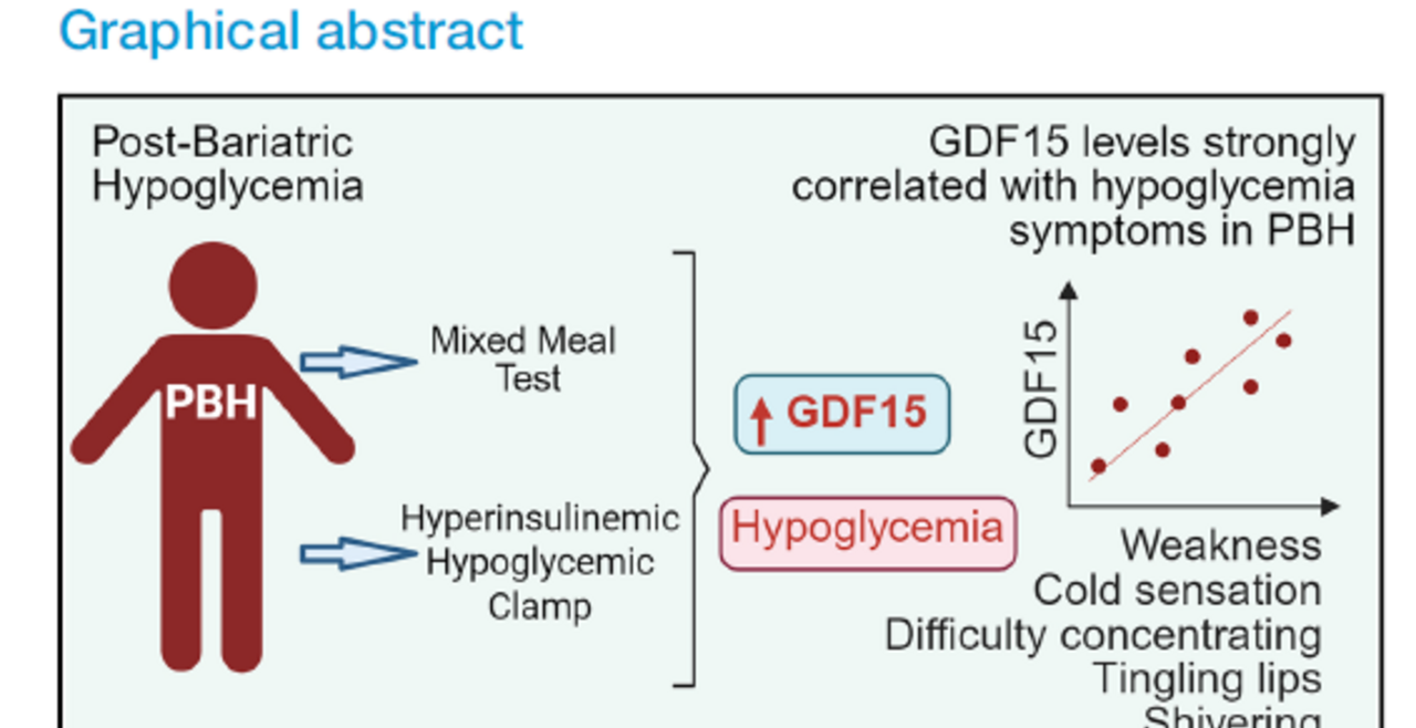 GDF15 and hypoglycemia