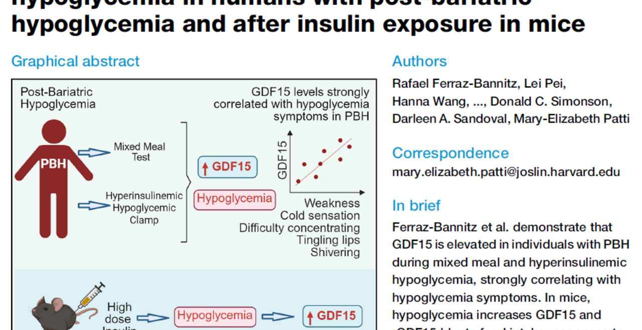 GDF15 and hypoglycemia 