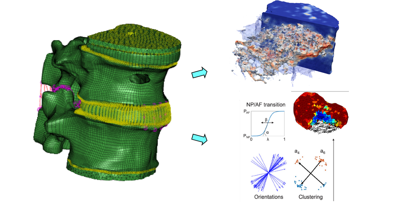 Spinal computational modeling