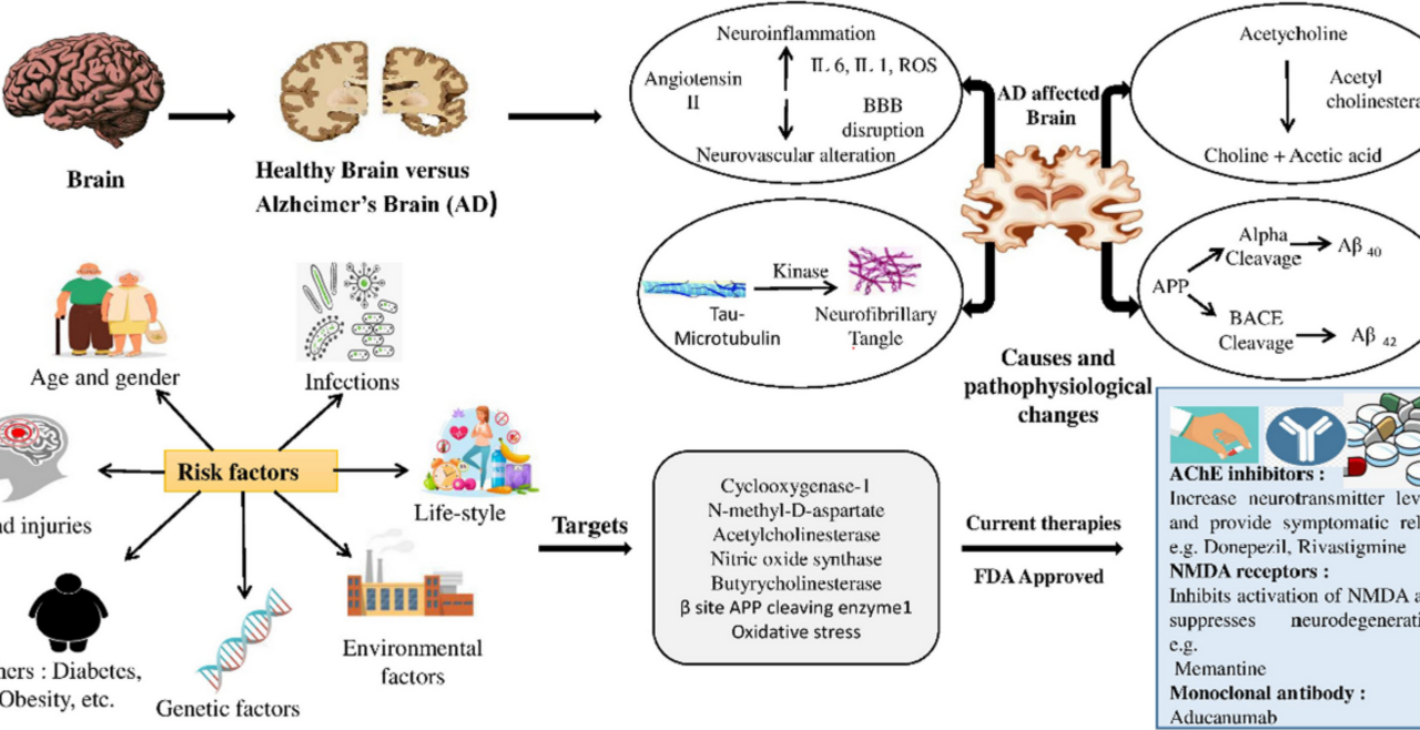Alzheimer's disease signaling pathways as targets for effective pharmacotherapy