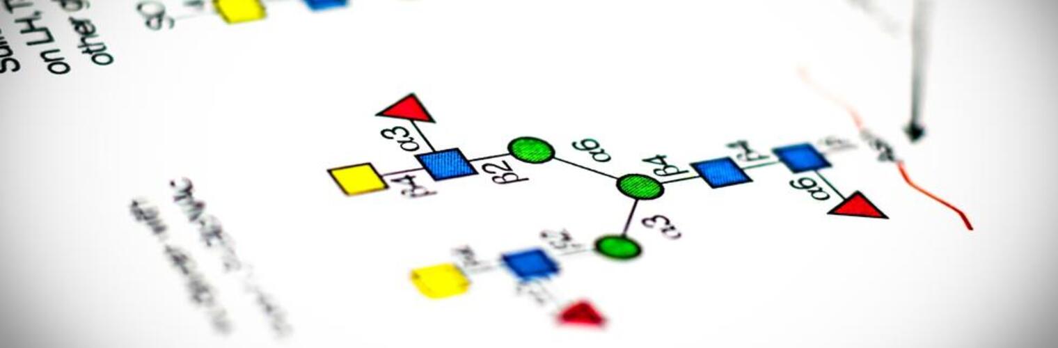 Center Organization