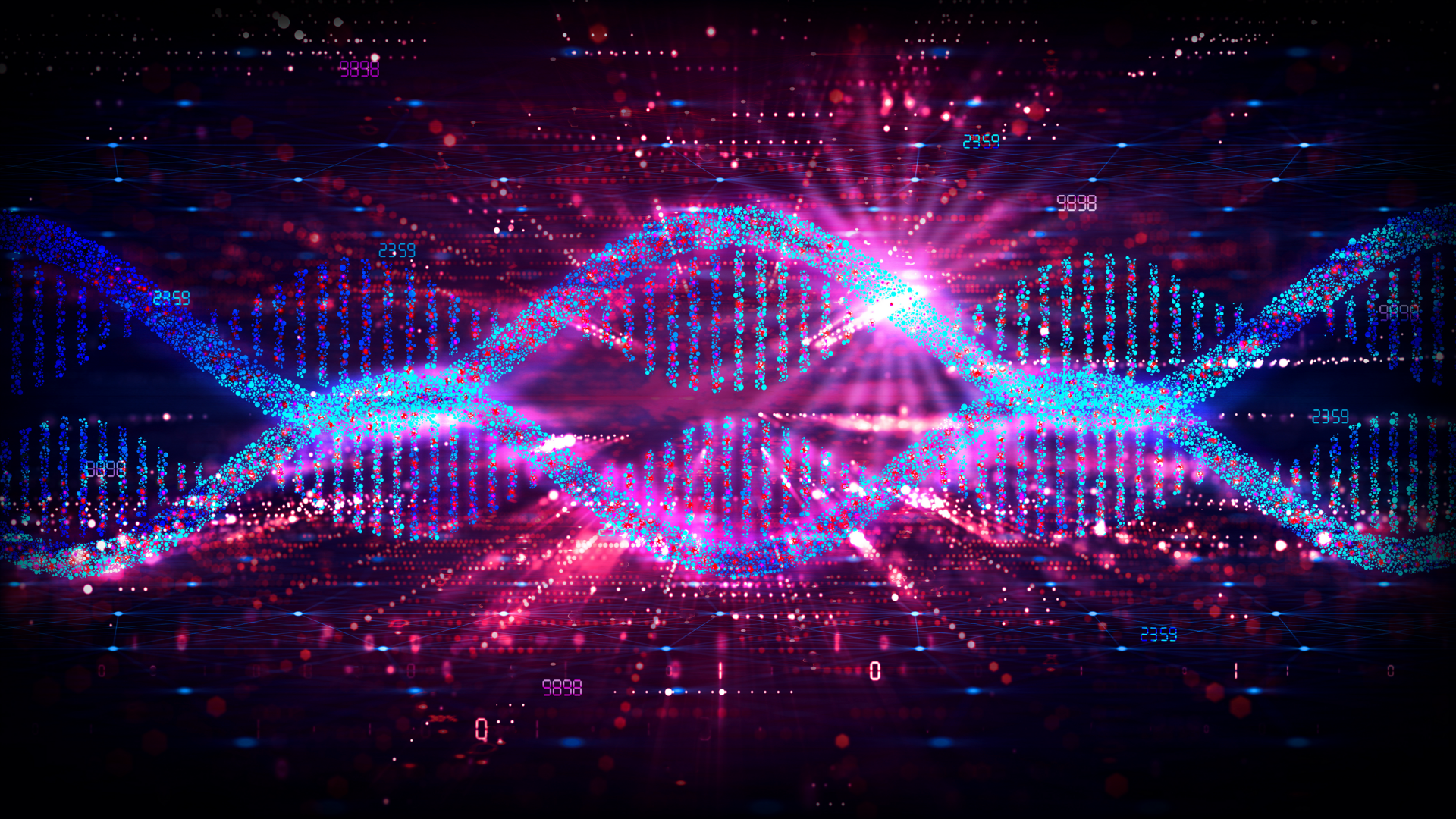 Banner Picture