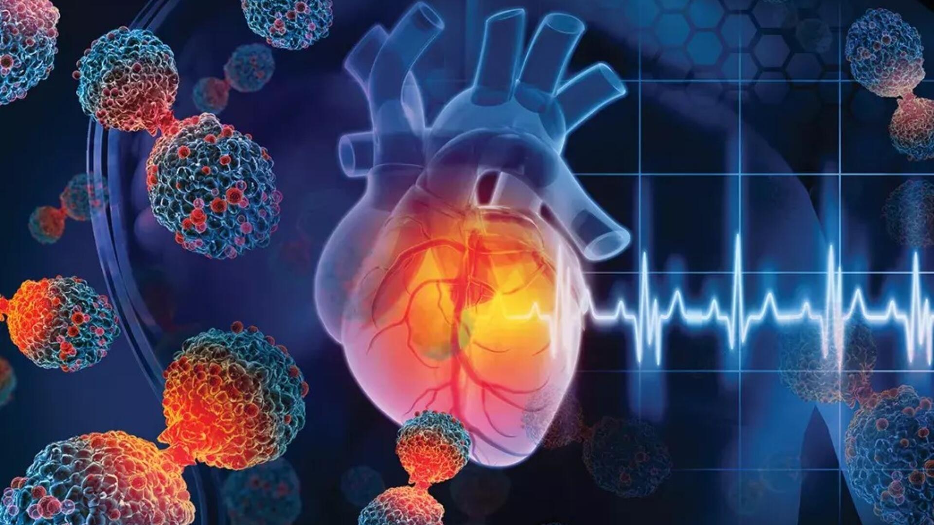 Cardio-Oncology and Heart Failure Section
