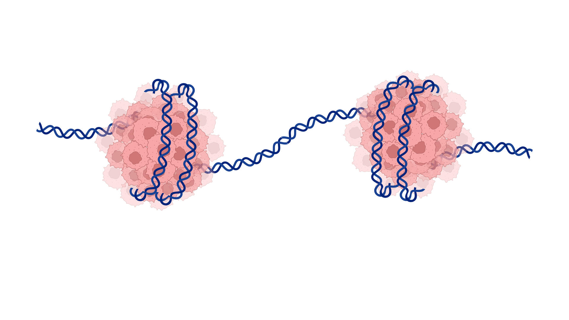 cancer epigenetics