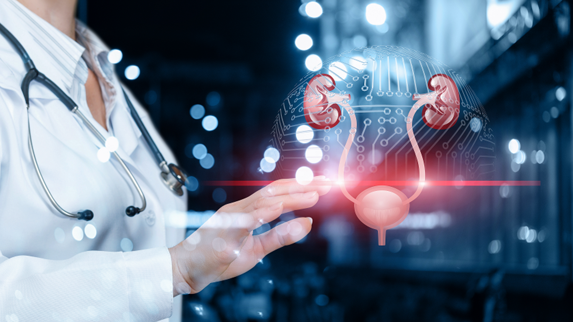 Doctor seeking answers to mysteries of the kidneys and bladder   