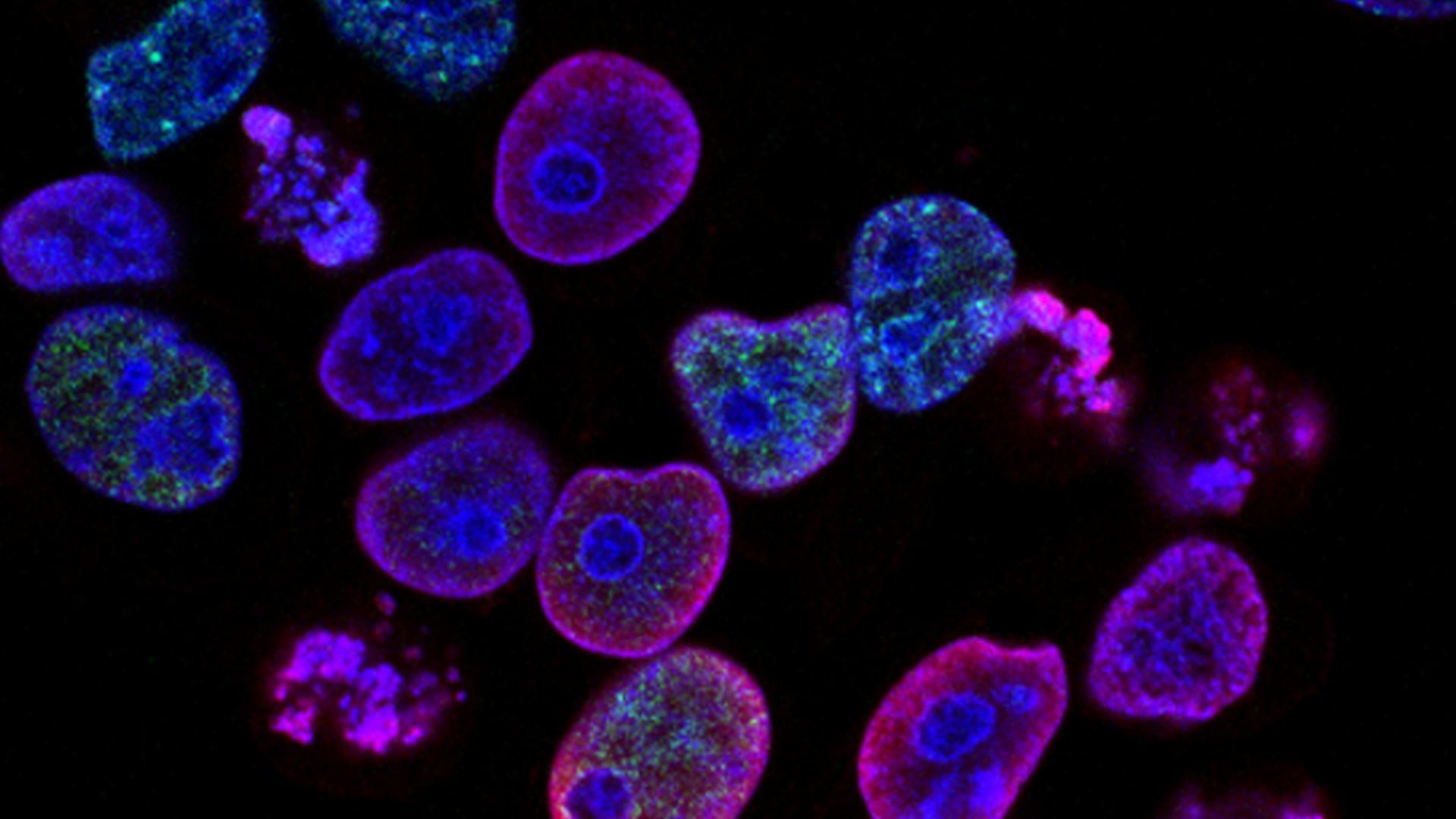 Omics Cores Integration Hub