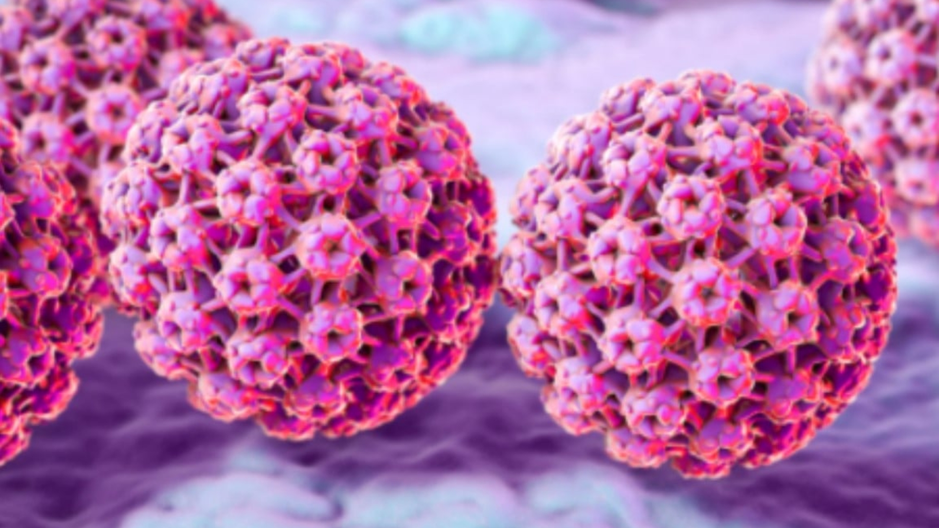 Human Papillomavirus (HPV) Molecule