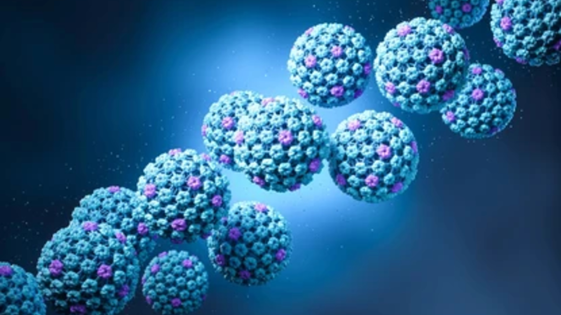 Human Papillomavirus (HPV) Molecule