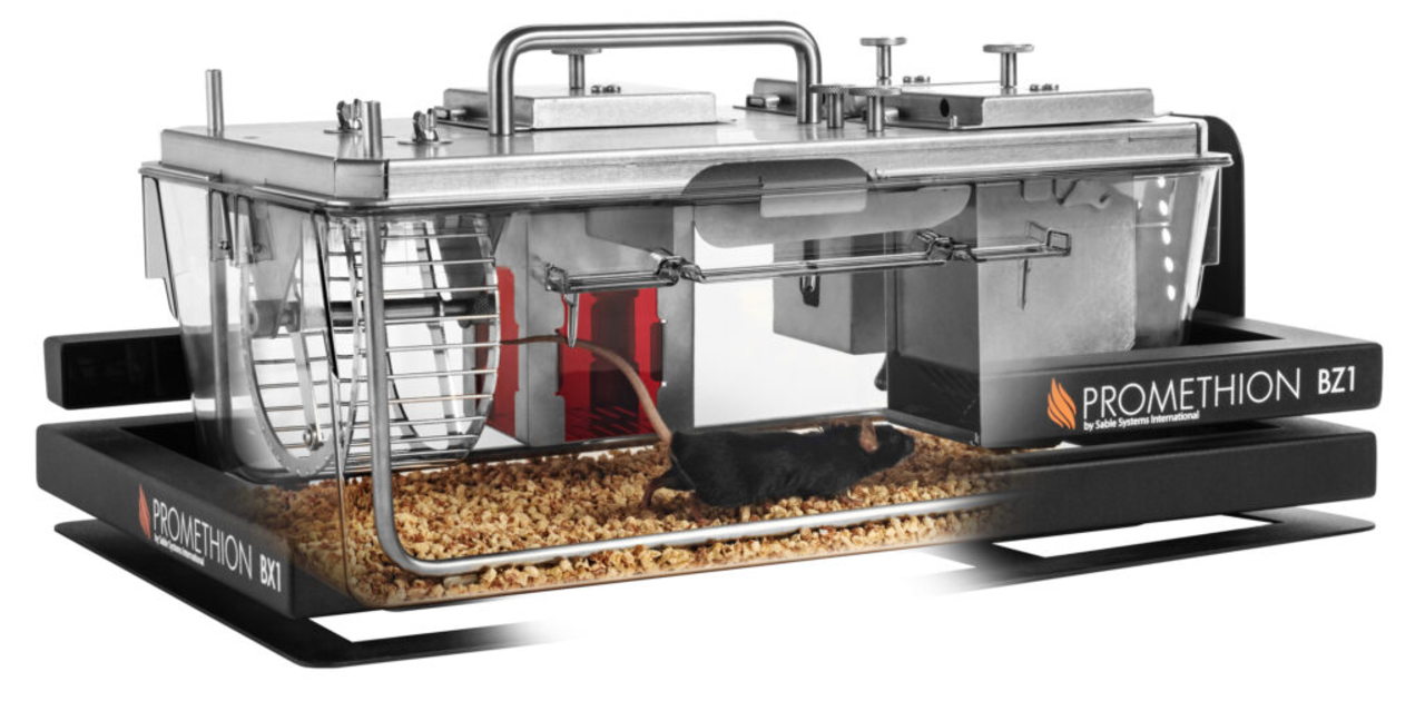 Promethion home cage