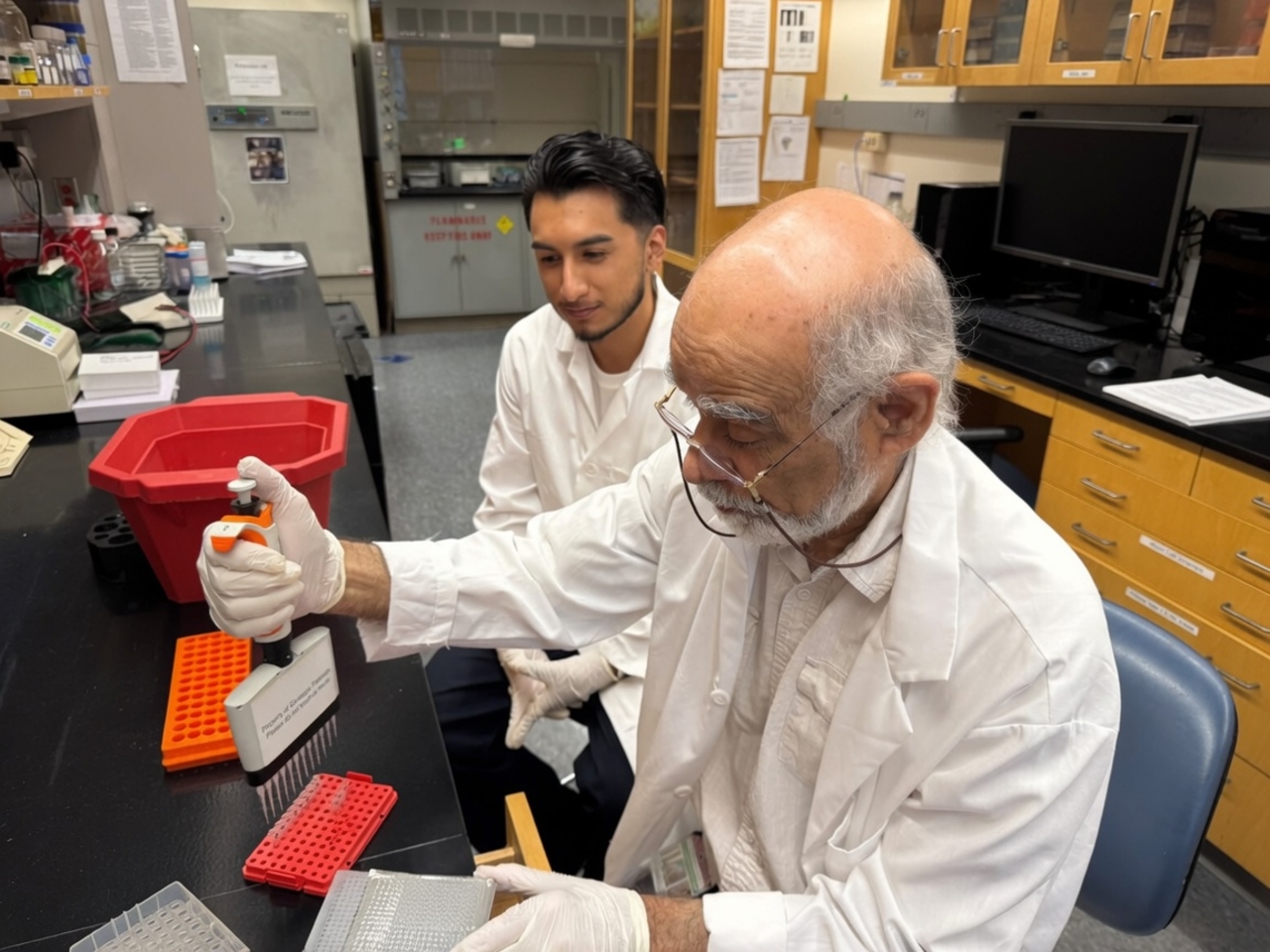 Picture of working in the lab