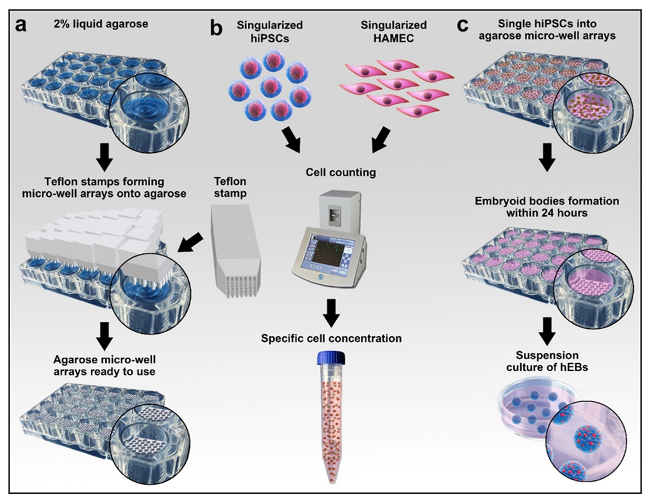 mold technology