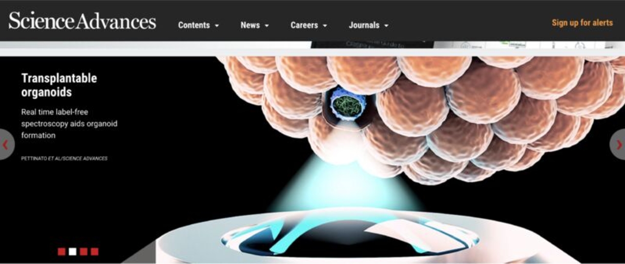 digital cover