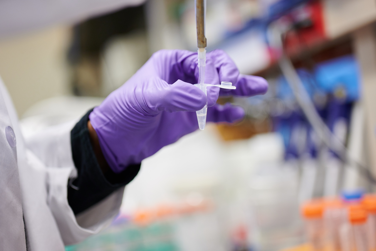 Laboratory Photo