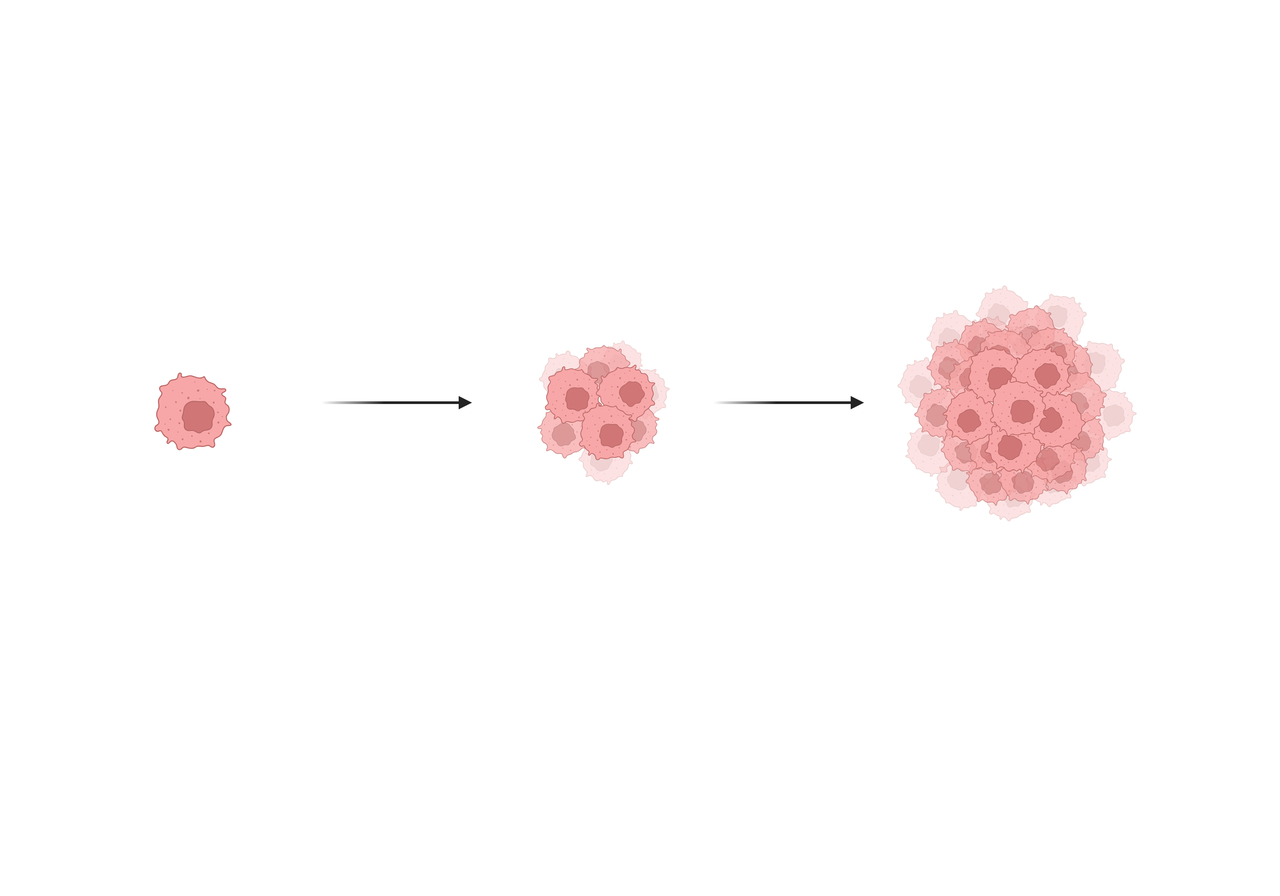 tumor_development