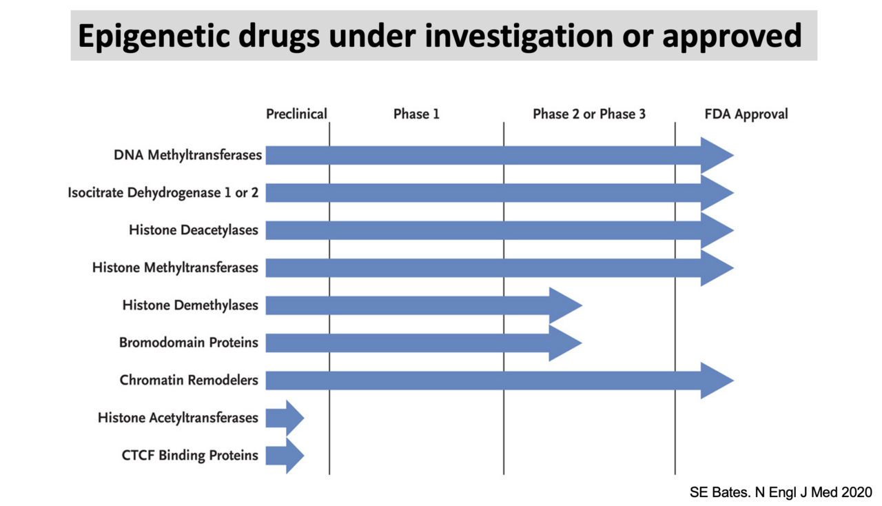 epidrug