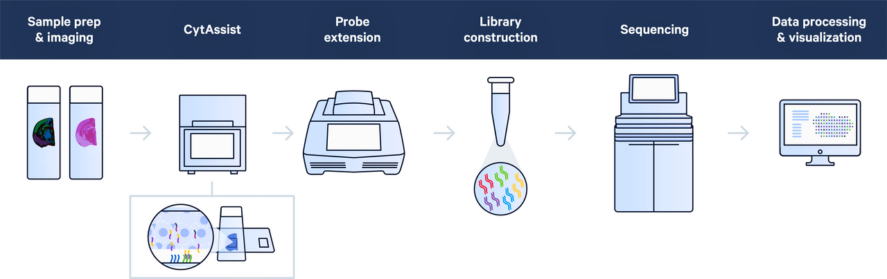 cytassist_workflow_44bcd558