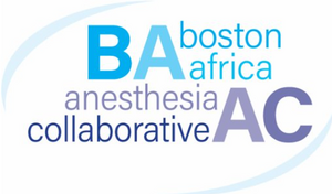BAAC Logo 2
