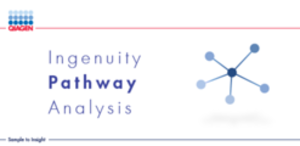 Ingenuity Pathway Analysis