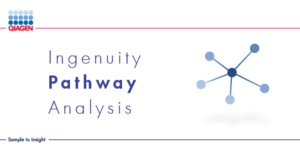 Ingenuity Pathway Analysis, a logo with blue and white design, text reads "Ingenuity Pathway Analysis"