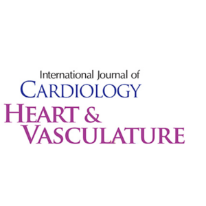 ICJ H&V Logo