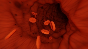 Red blood cells flowing through vein
